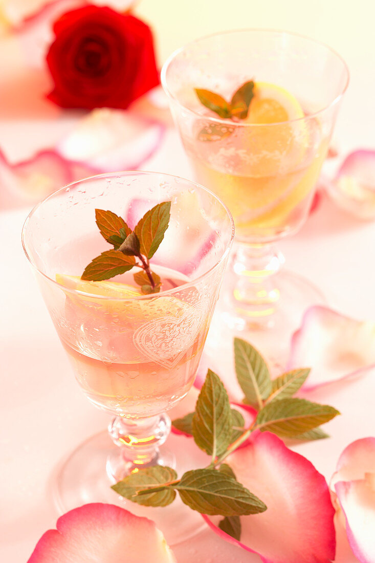 Selbstgemachter Rosensaft mit Zucker, Zitrone und frischen Rosenblütenblättern
