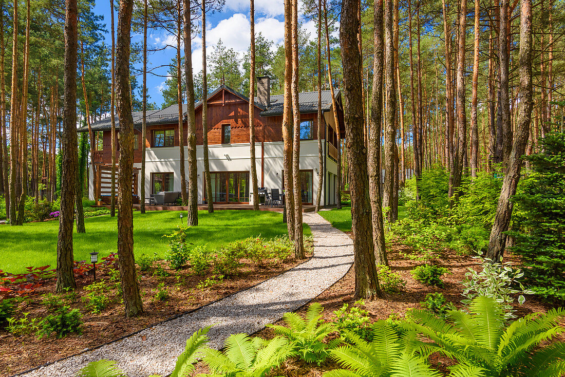 Kiesweg führt durch den Kieferwald zum Haus