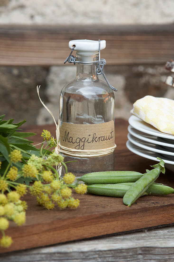 Herbal distillate of lovage and plants on bench