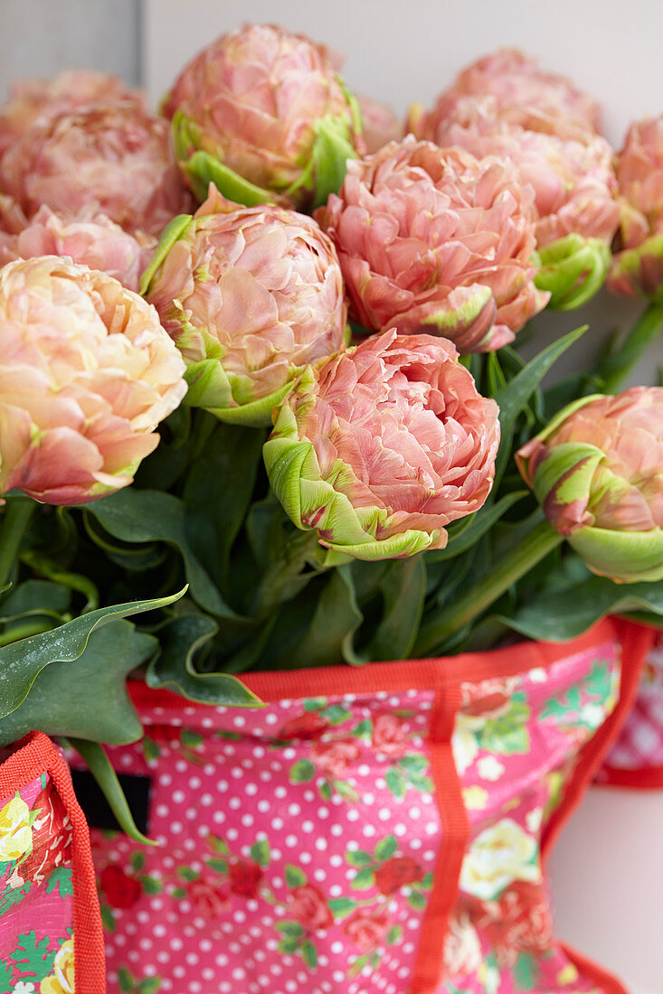 Tulipa bouquet