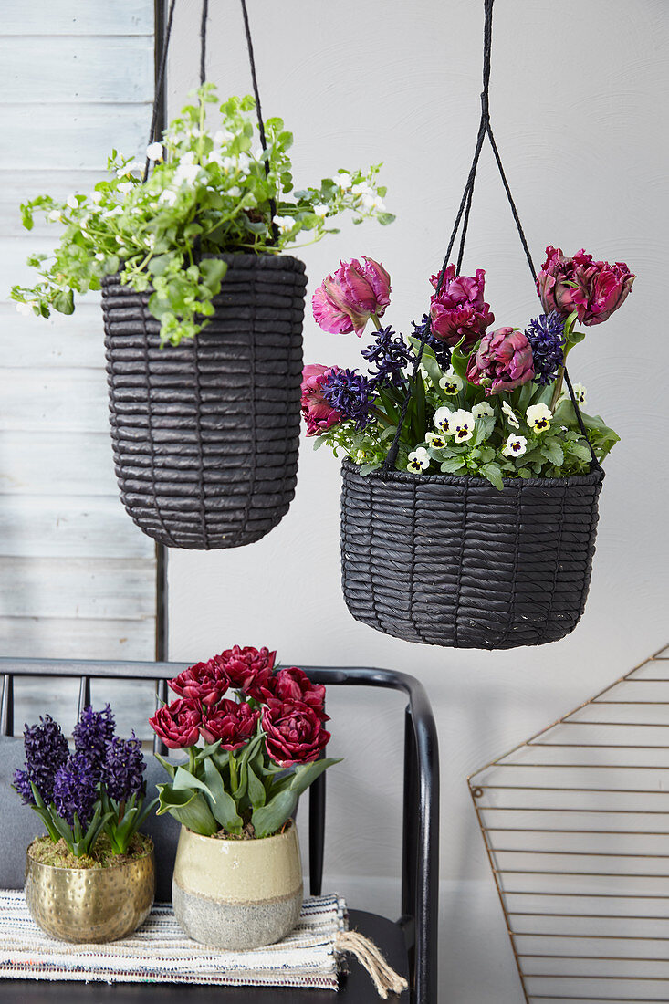 Spring flowers on pot