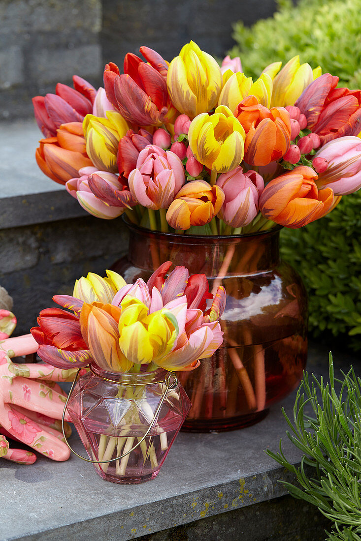 Tulipa Princess mix