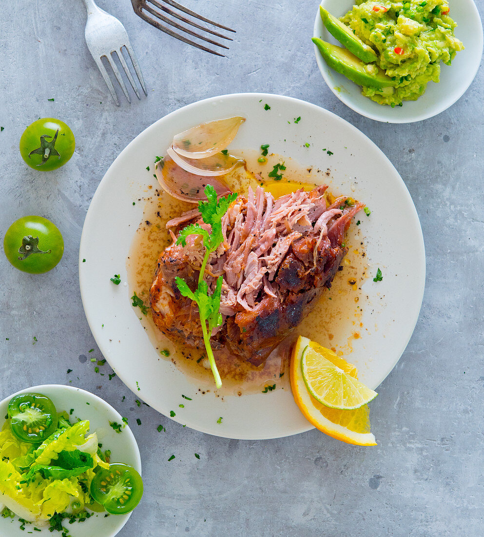 Pulled pork with guacamole and salad