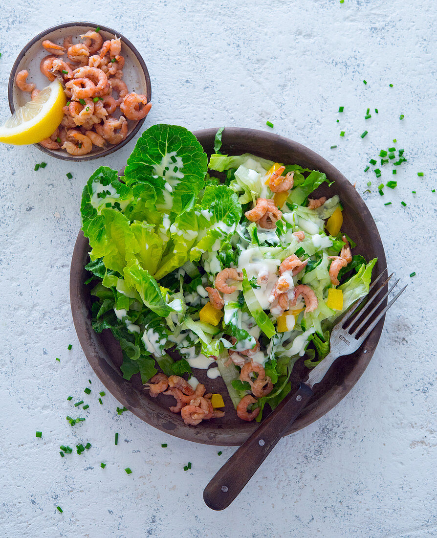 Cos lettuce with shrimps and a chive dressing