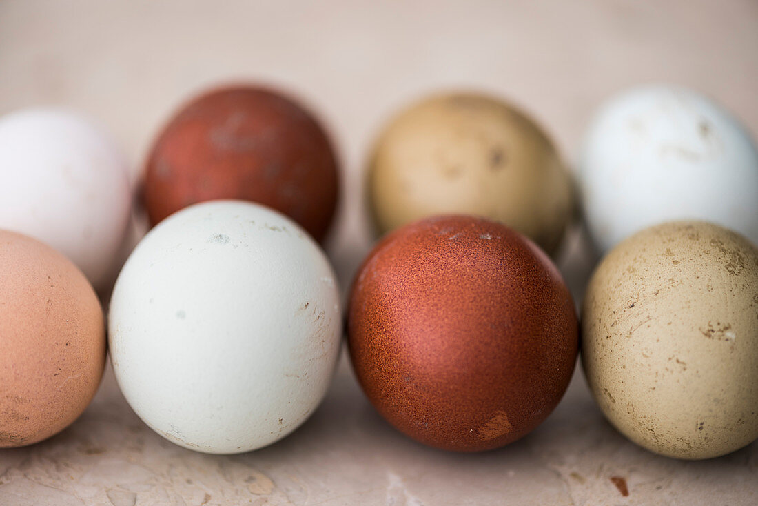 Verschiedenfarbige Eier