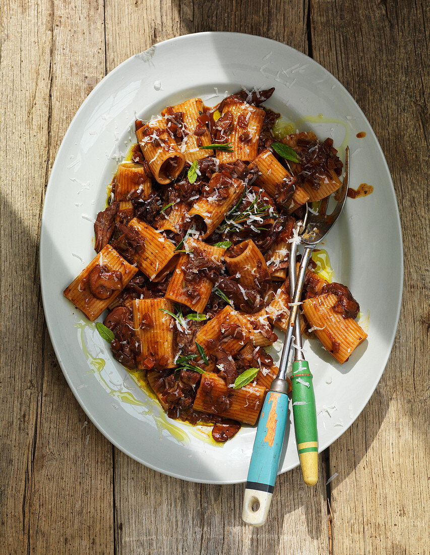 Paccheri with lamb ragout