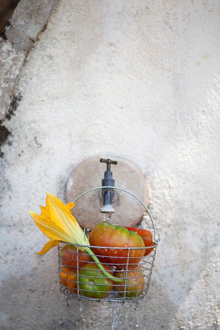 Drahtkorb mit Tomaten und Zucchiniblüte auf Wasserhahn an Steinmauer