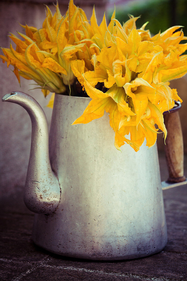 Courgette flowers in a metal jug