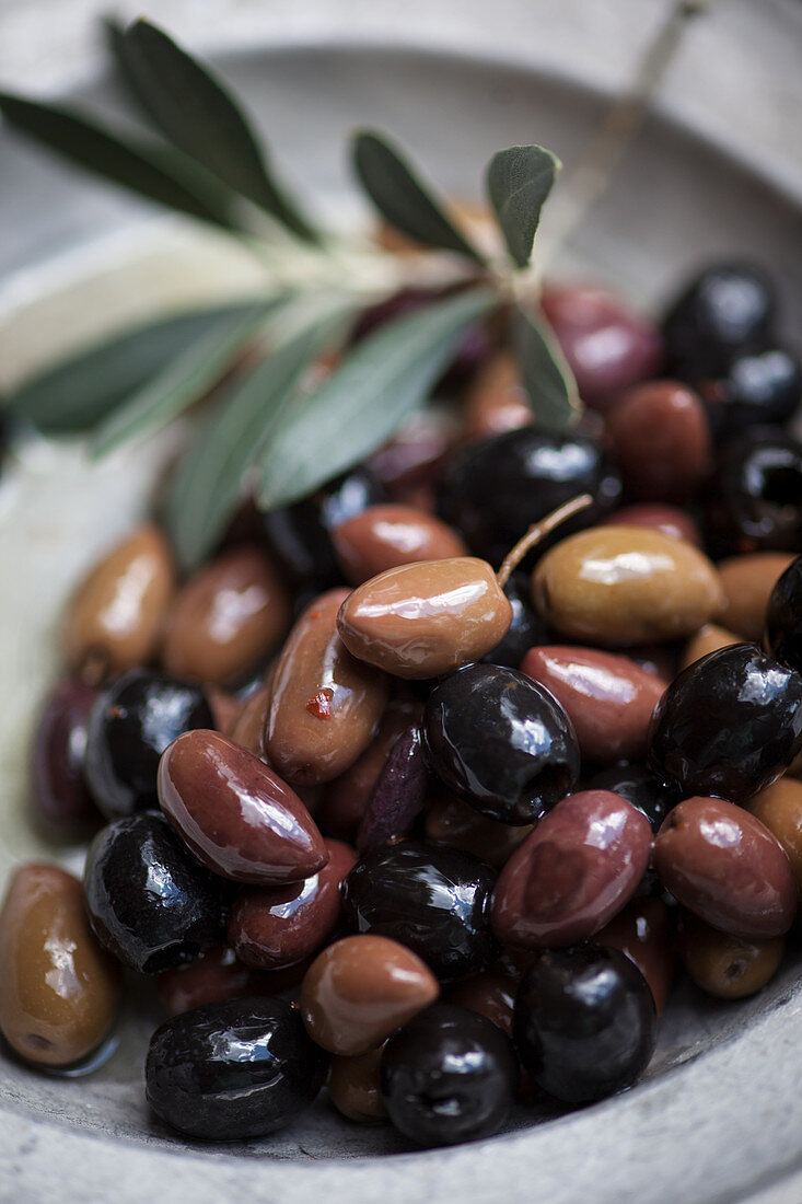 Gemischte Oliven in einer Schale