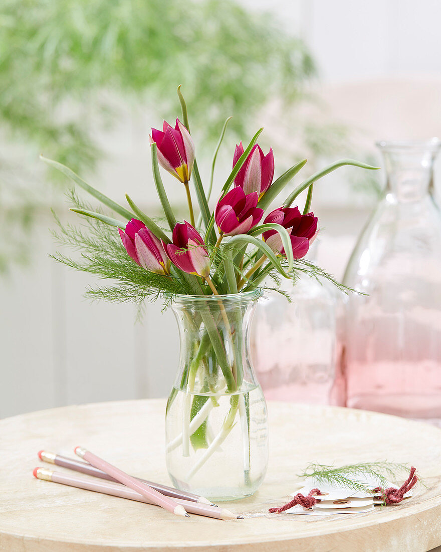 Tulipa bouquet