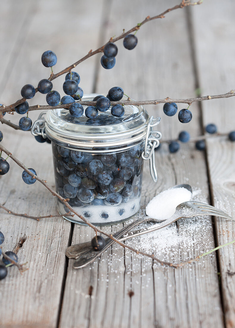 Sloes in brine in a preserving jar