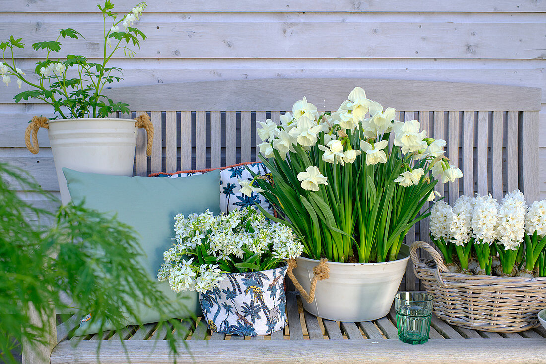 Frühlings-Arrangement mit weißen Blüten: Hyazinthen, Narzissen, Puschkinie und Tränendes Herz