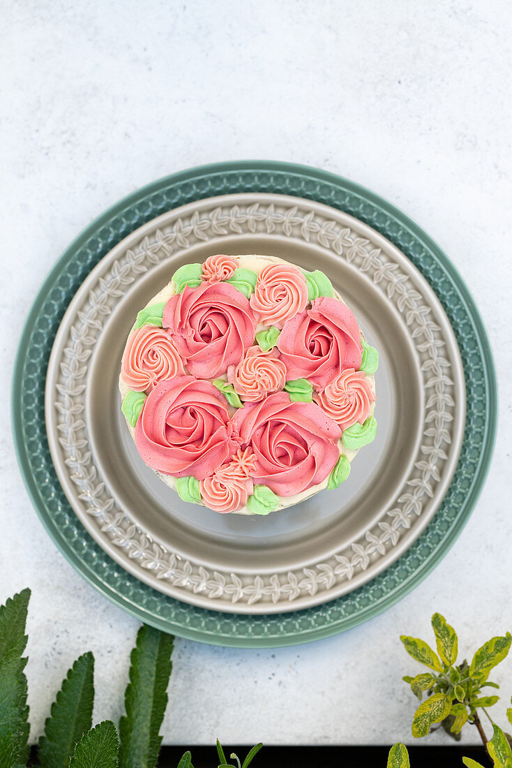 Rosa Ombre-Kuchen