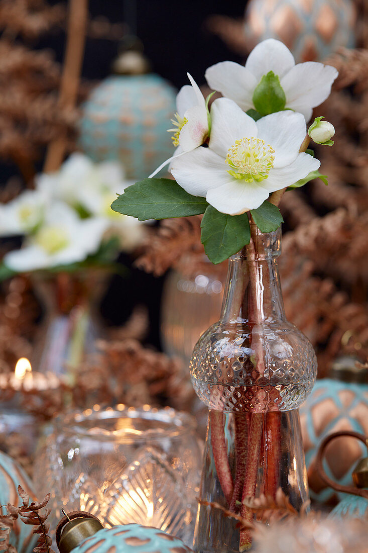 Christmas arrangement of hellebores