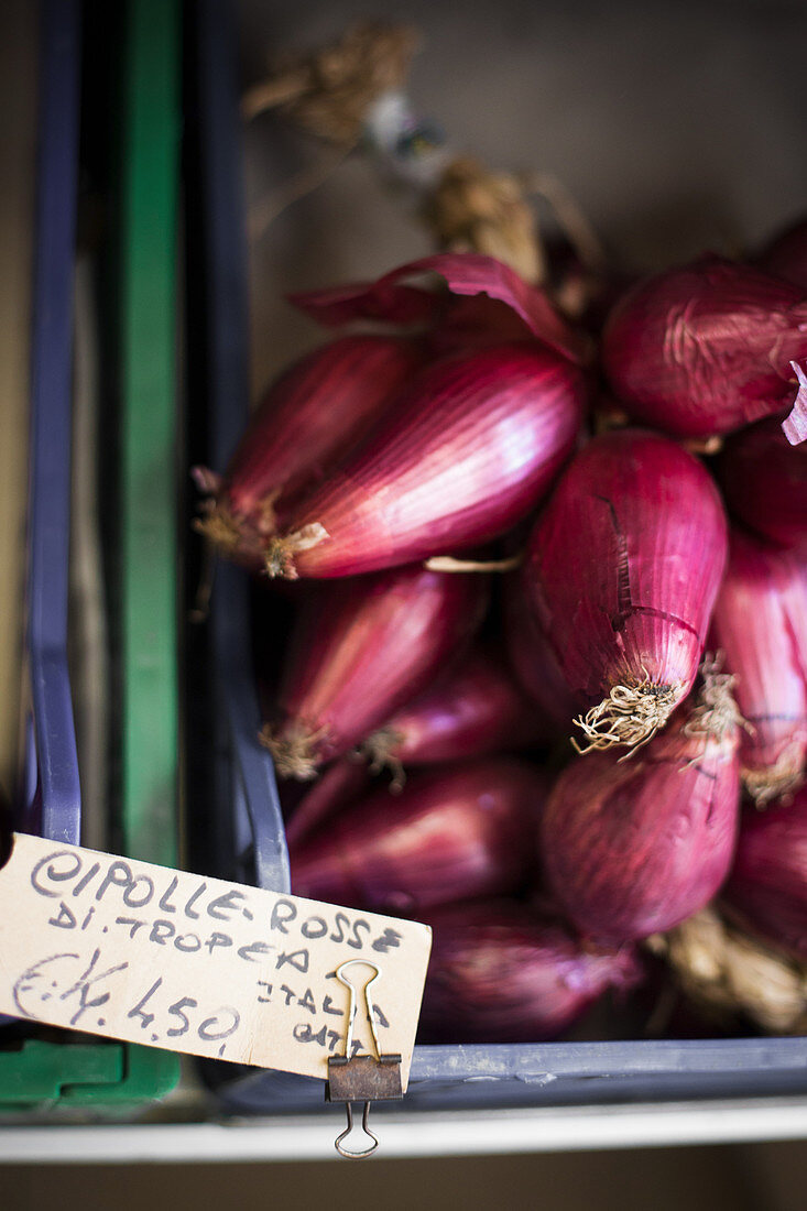 Red onions from Italy