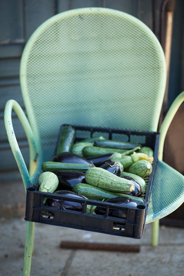 Courgettes and aubergines in a crate on a garden chair