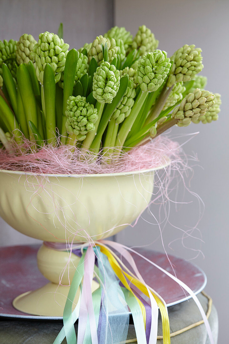 Hyacinthus arrangement