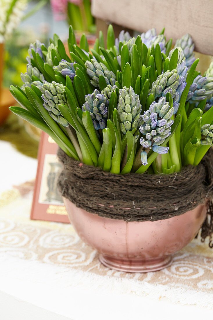 Hyacinthus arrangement