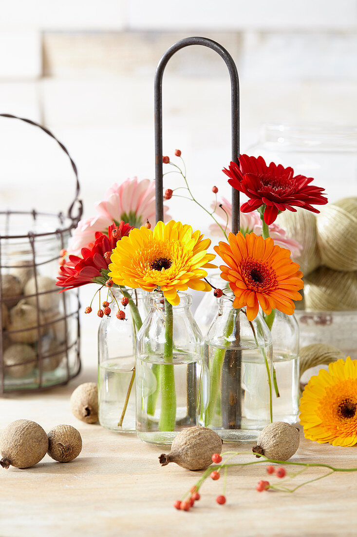 Gerbera in vases