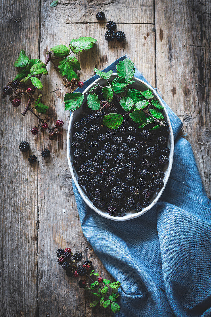 Ripe blackberries garnished by leaves in bowl