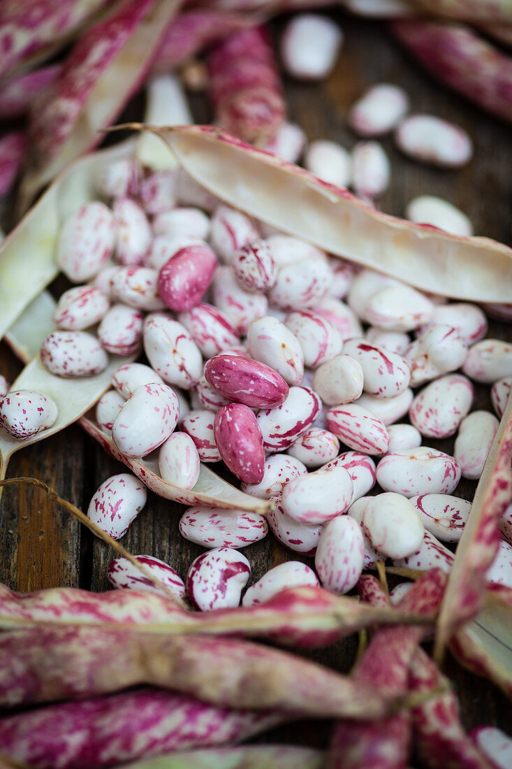 Fresh borlotti beans