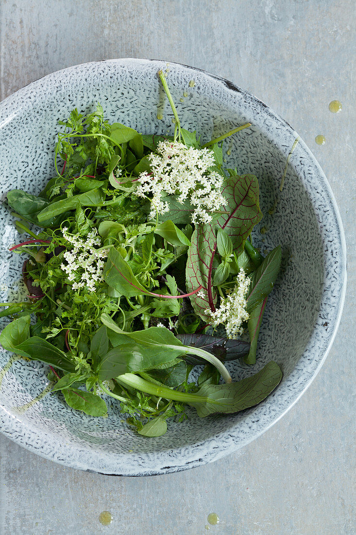 Junger Salat mit Holunderblüten