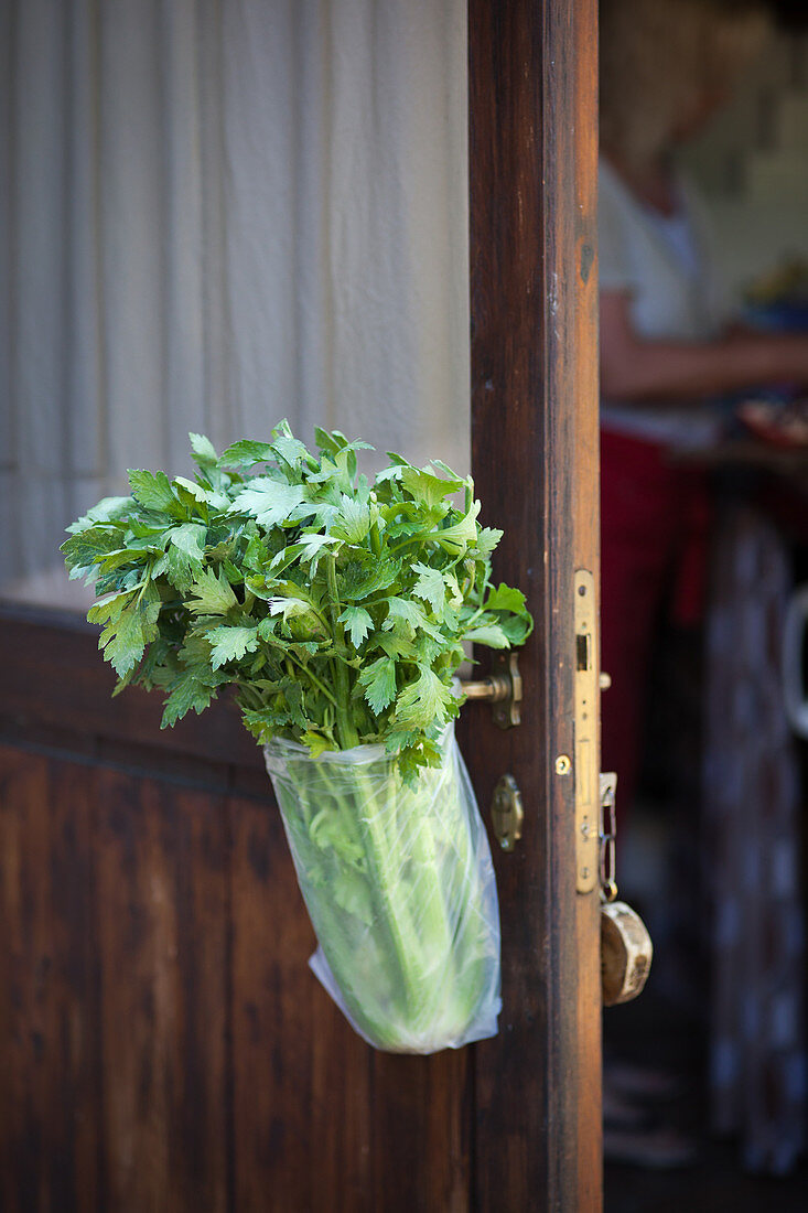 Celery in a plastic bag hanging on a wooden door