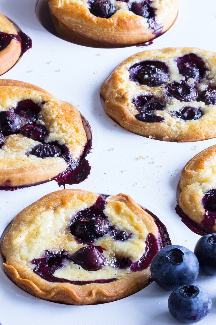 Yeast cakes with blueberries