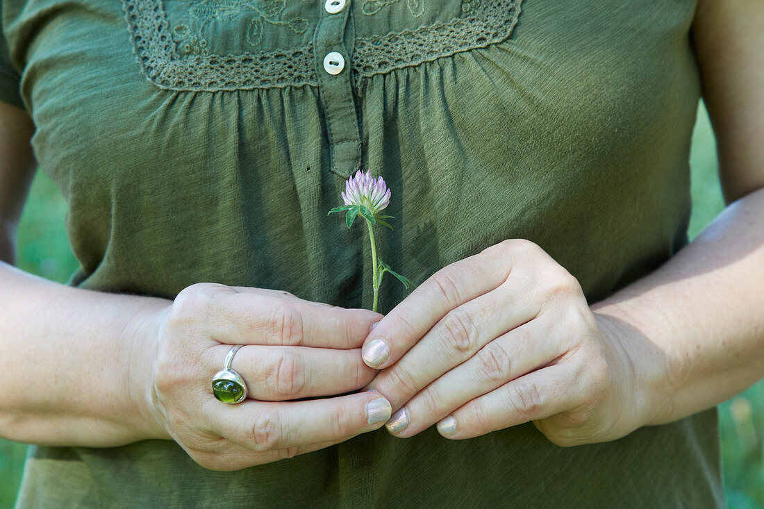 A woman holding a red clover blossom in her hands