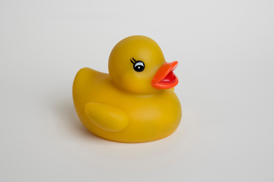 Rubber duck bath toy