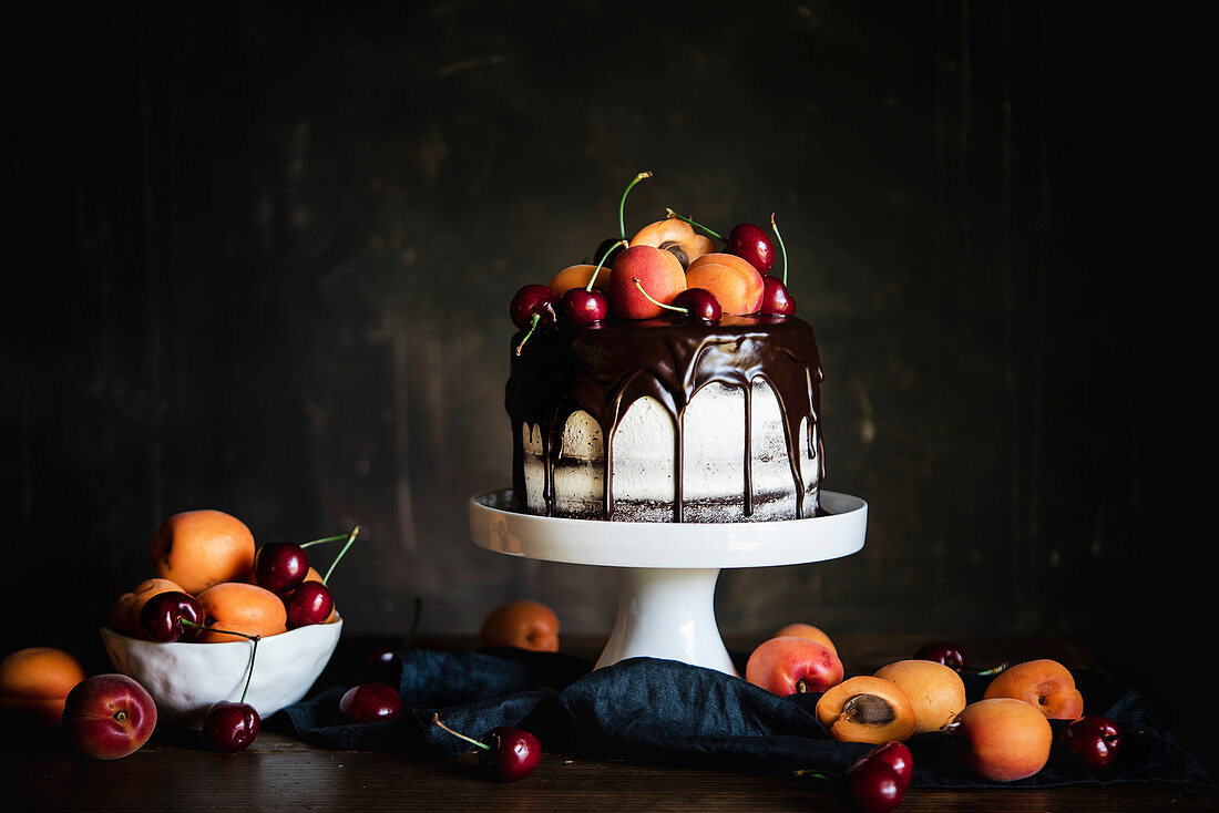 Chocolate Cake with Apricots and Cherries