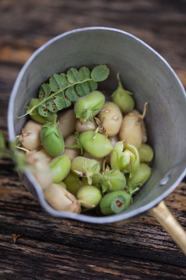 Chickpeas in a sieve