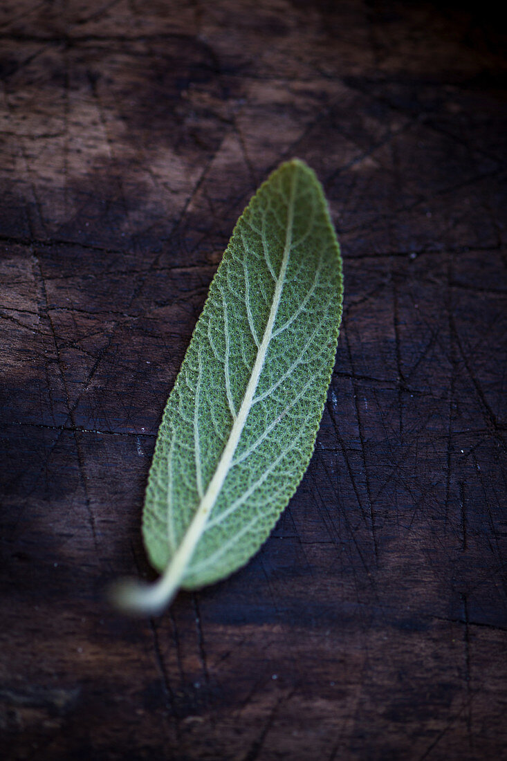 A sage leaf on a wooden surface