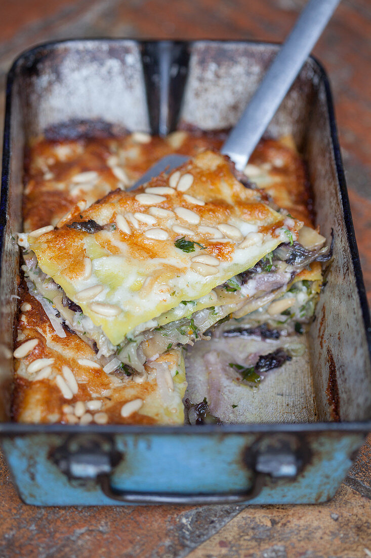 Lasagne with radicchio and asiago cheese