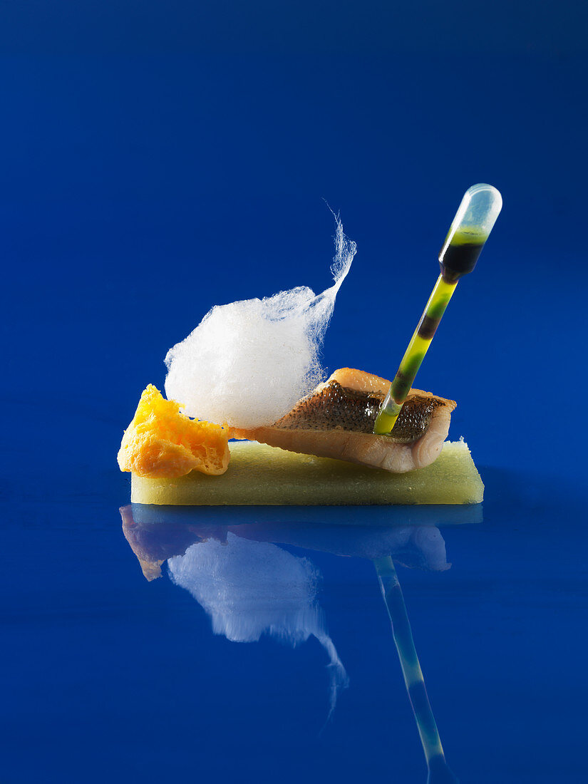 Fish with cucumber strips and carrot foam (molecular gastronomy)