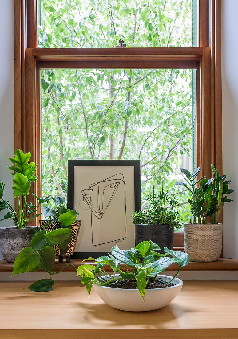 Abstraktes Bild und verschiedene Grünpflanzen vor Holzrahmenfenster