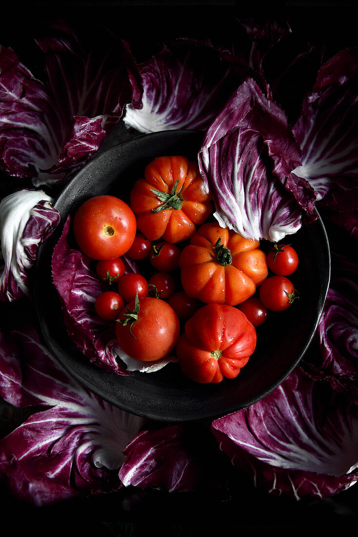 Stilleben mit verschiedenen Tomatensorten und Radicchioblättern