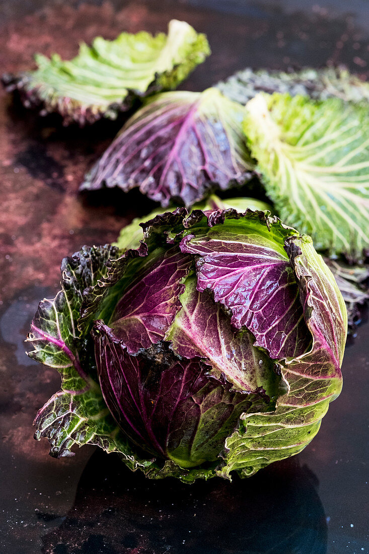 Still life, a fresh round red and green savoy cabbage