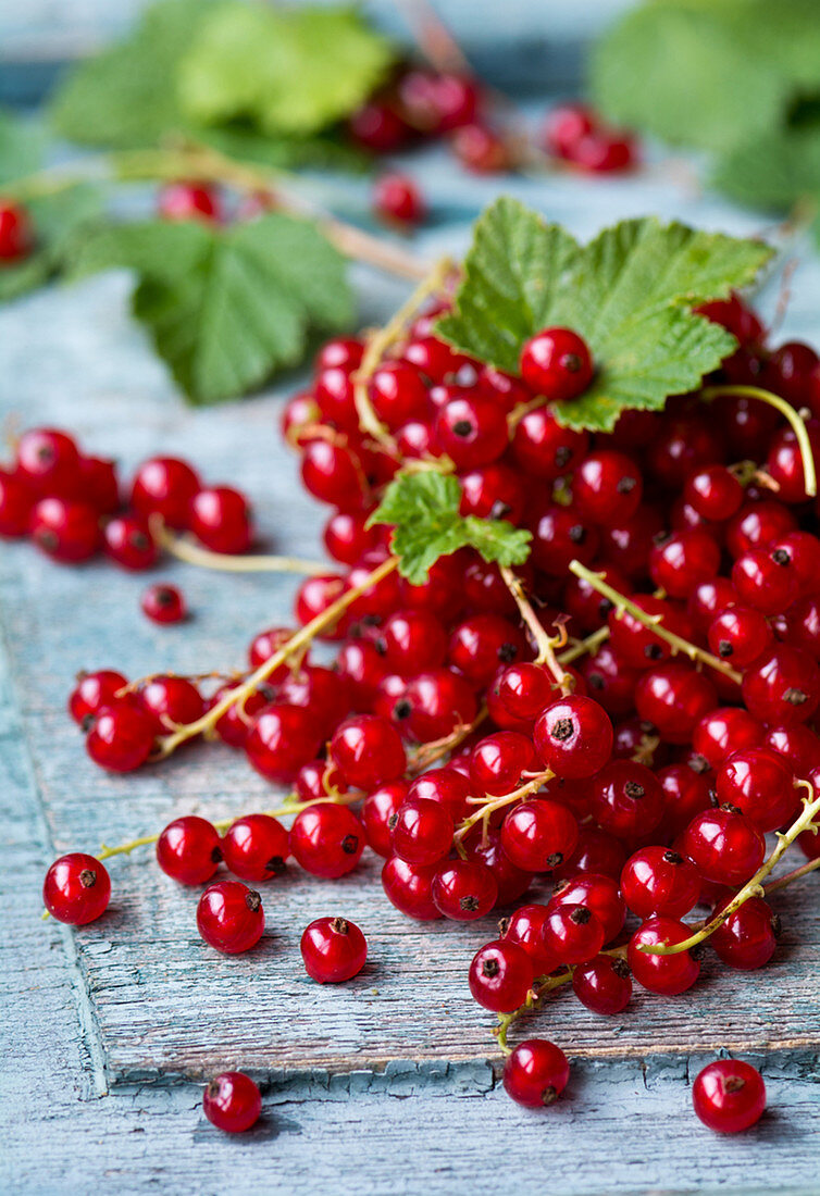 Redcurrants