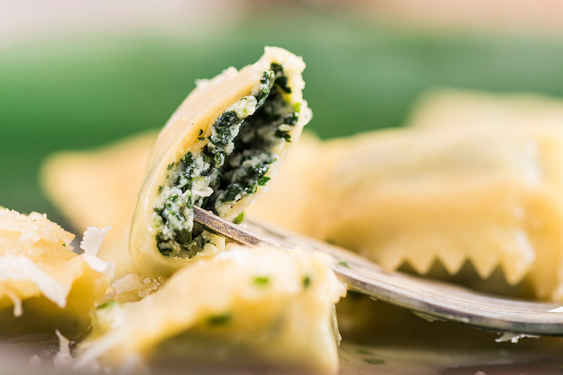 Ravioli mit Kräuterfüllung (Nahaufnahme)