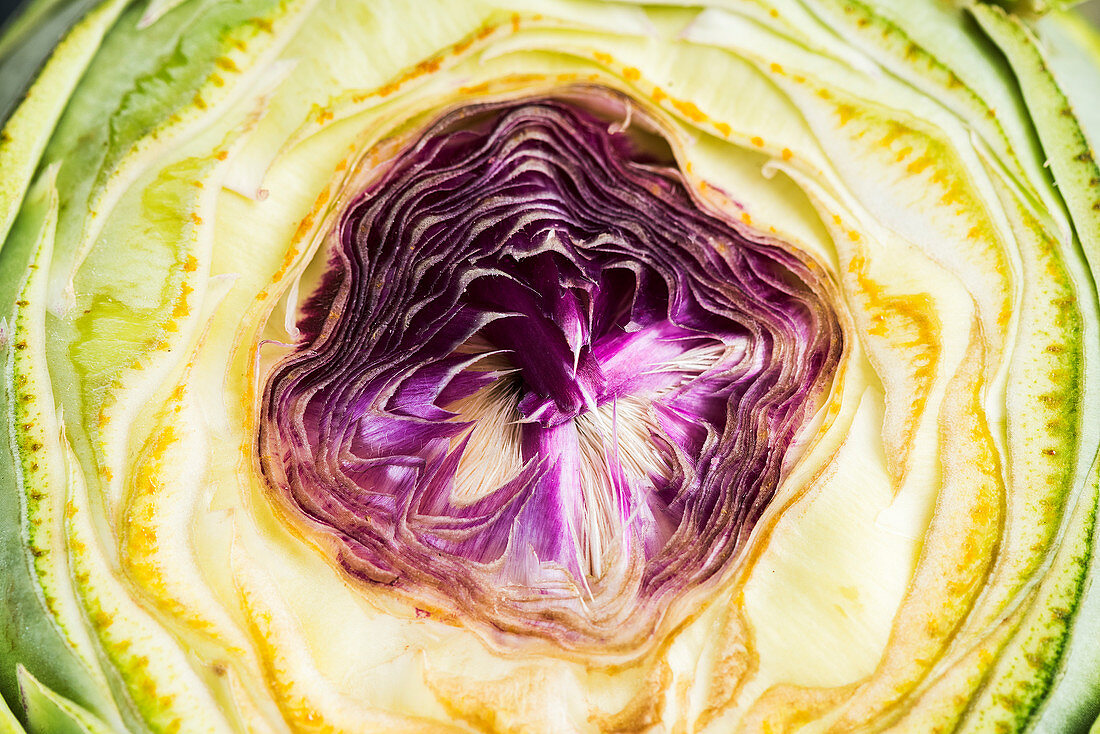 An artichoke heart (close up)