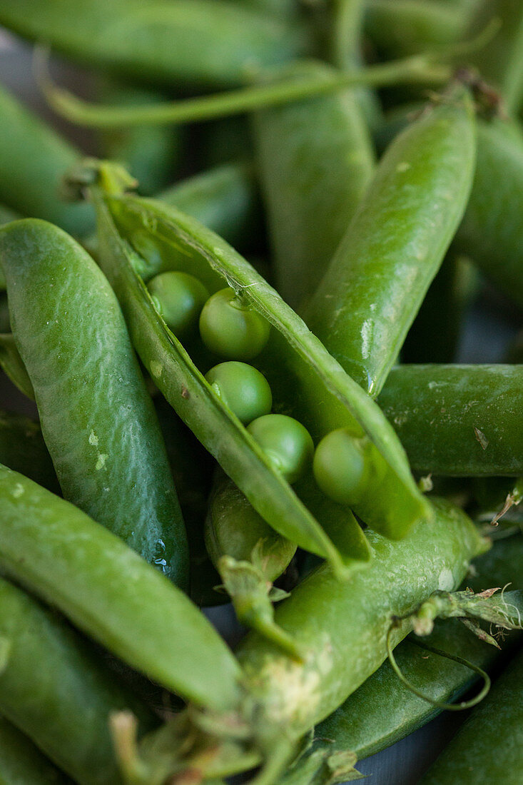 Fresh pea pods