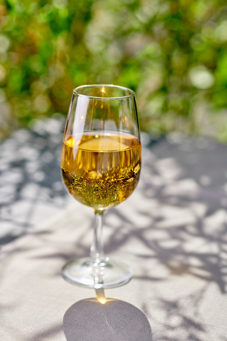A white wine glass in a garden