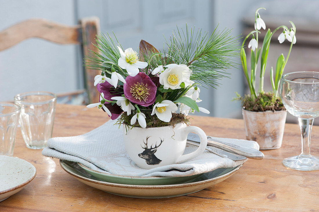 A small bouquet of Christmas rose, spring rose, snowdrop, and pine in a cup with a decorative decoration