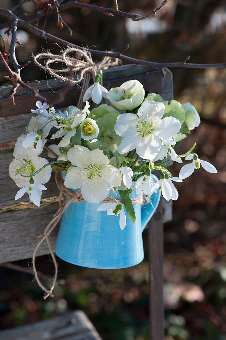 Sträußchen aus Blüten von Christrosen und Schneeglöckchen an Stuhllehne gehängt