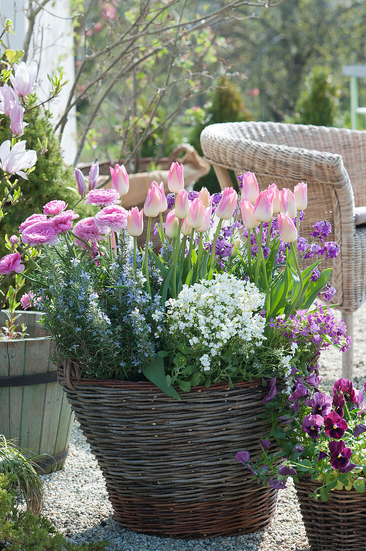 Spring terrace with 'Dynasty' tulips, goose cress, rosemary, ranunculus, pansies and gold lacquer in baskets