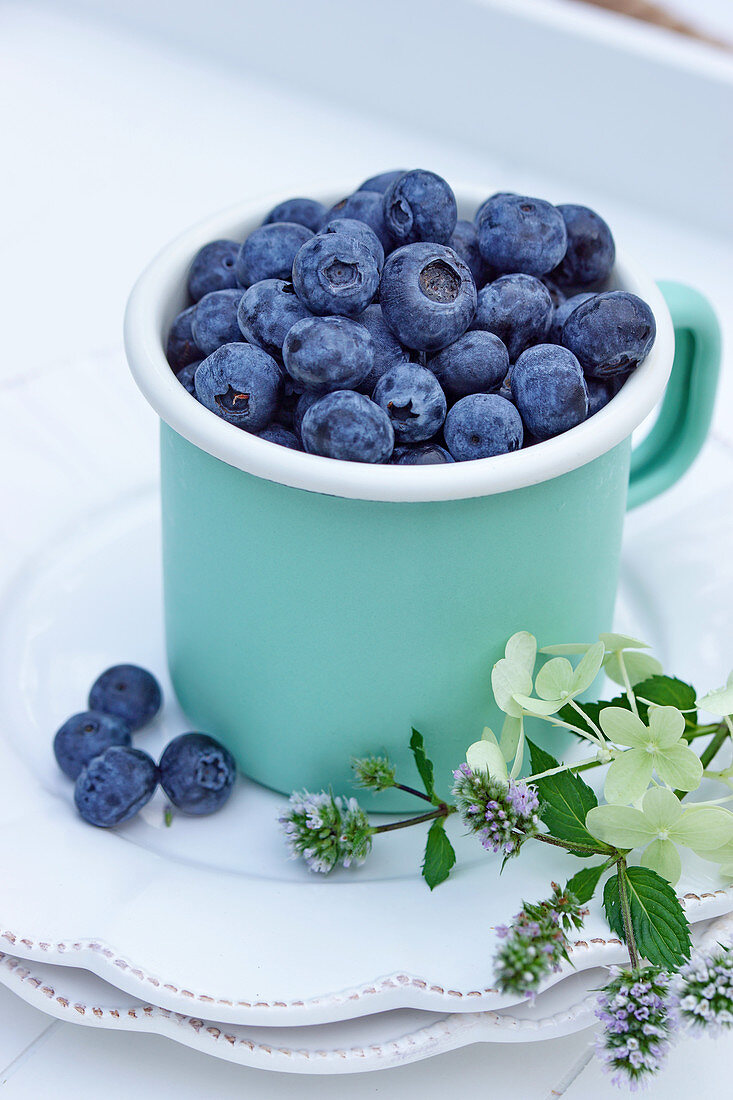 Blueberries in an enamel mug