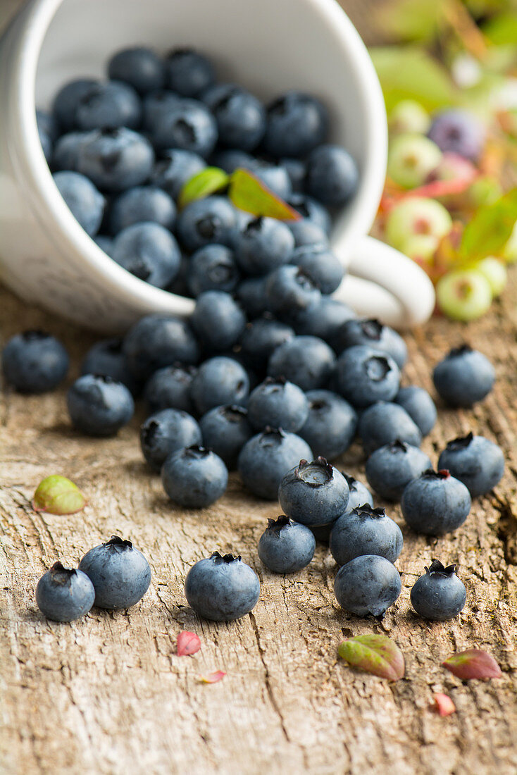 Blueberries in an overturned mug