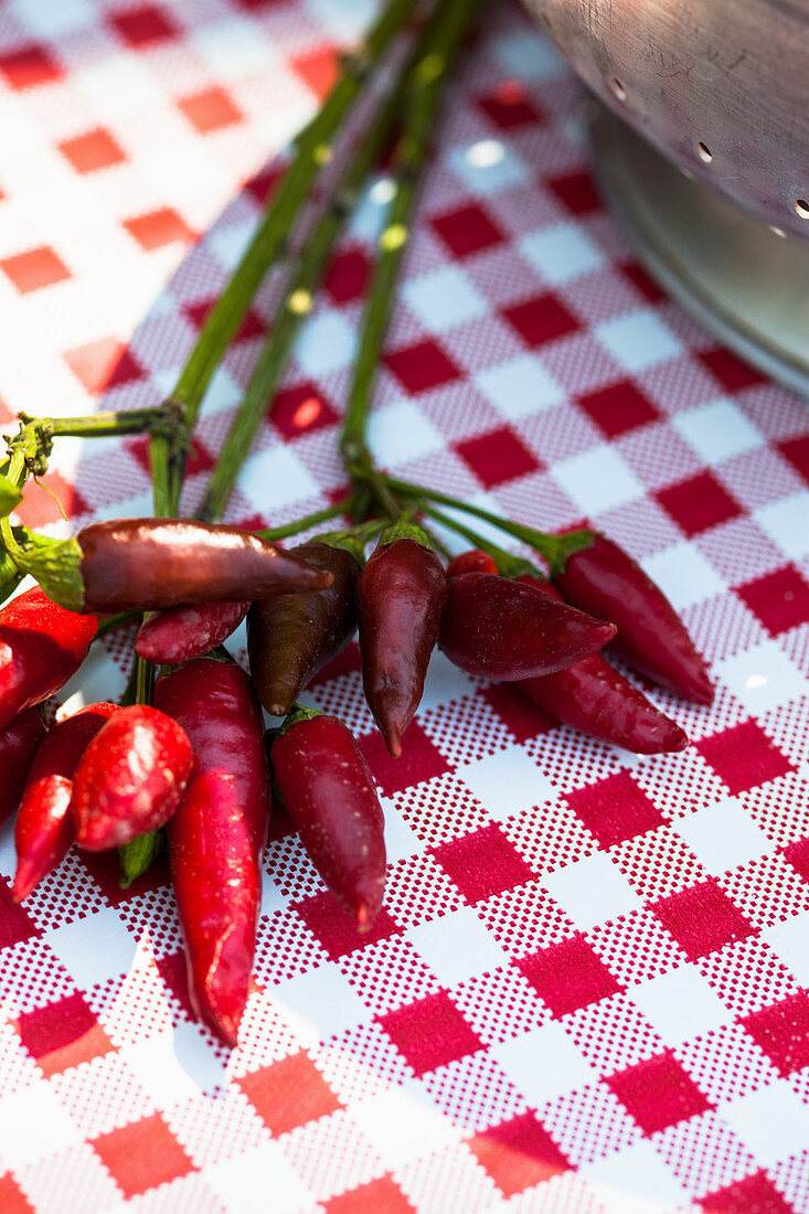 Peperoni auf kariertem Tischtuch