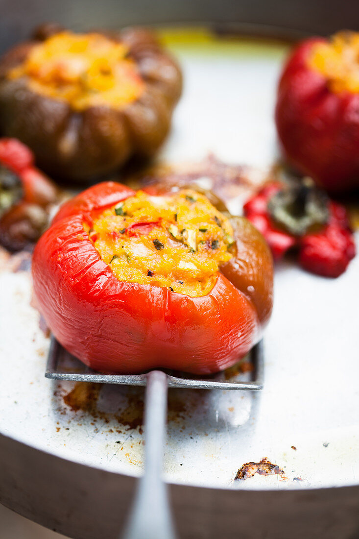 Paprika mit Polentafüllung